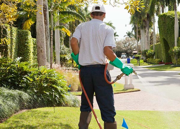 About East Wallingford VT Pest Control Pros